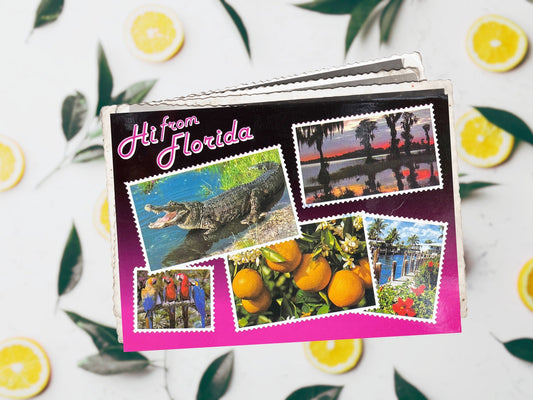 Florida Vintage Postcards to Display & Share